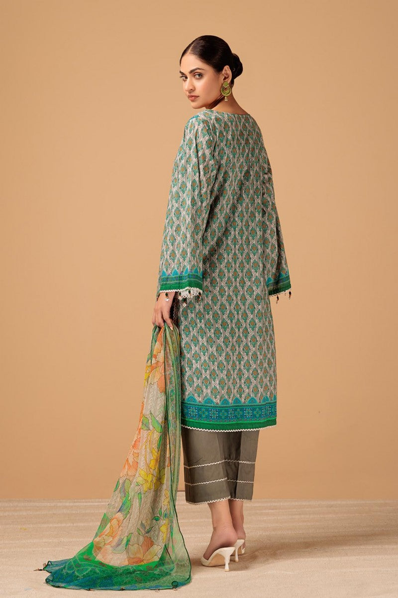 SHOWCASE - 3 PC | Bonanza Satrangi